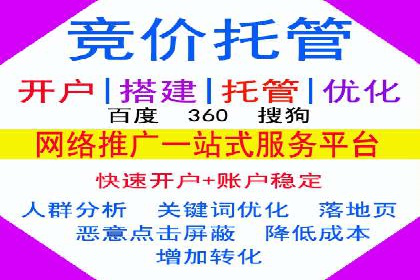 SEM专员实战案例解析